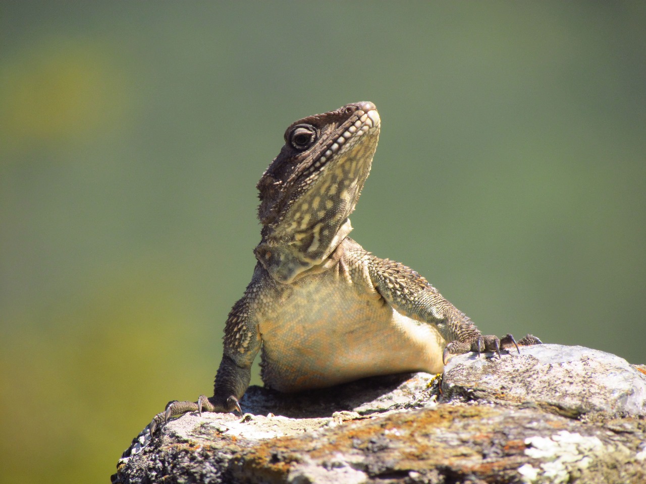 WhatsApp Image 2025-01-06 at 18.10.01