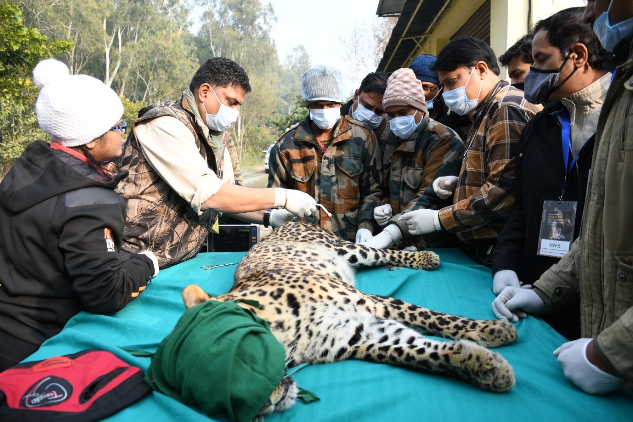 WhatsApp Image 2025-01-06 at 18.13.20 (1)