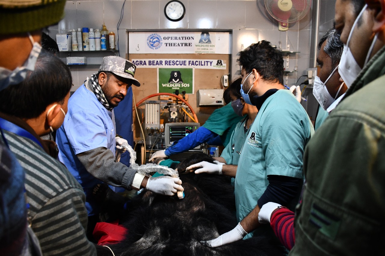 WhatsApp Image 2025-01-06 at 18.13.21