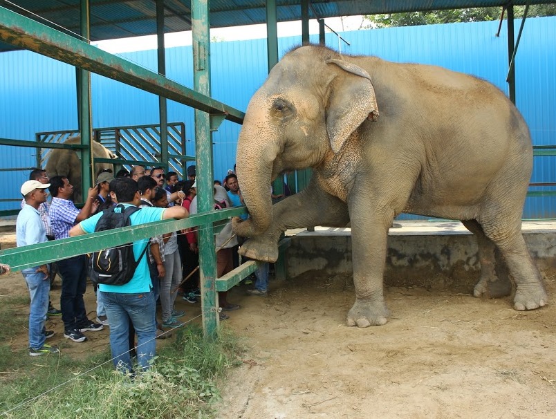 WhatsApp Image 2025-01-06 at 18.13.23 (2)