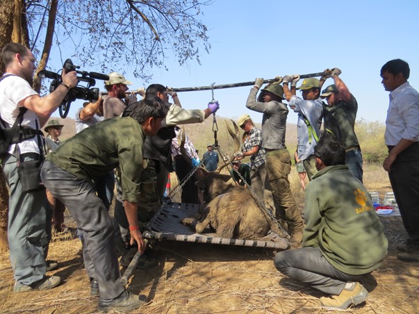 WhatsApp Image 2025-01-06 at 18.13.23